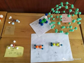 高二年级化学学科活动 有机物分子结构模型制作大赛